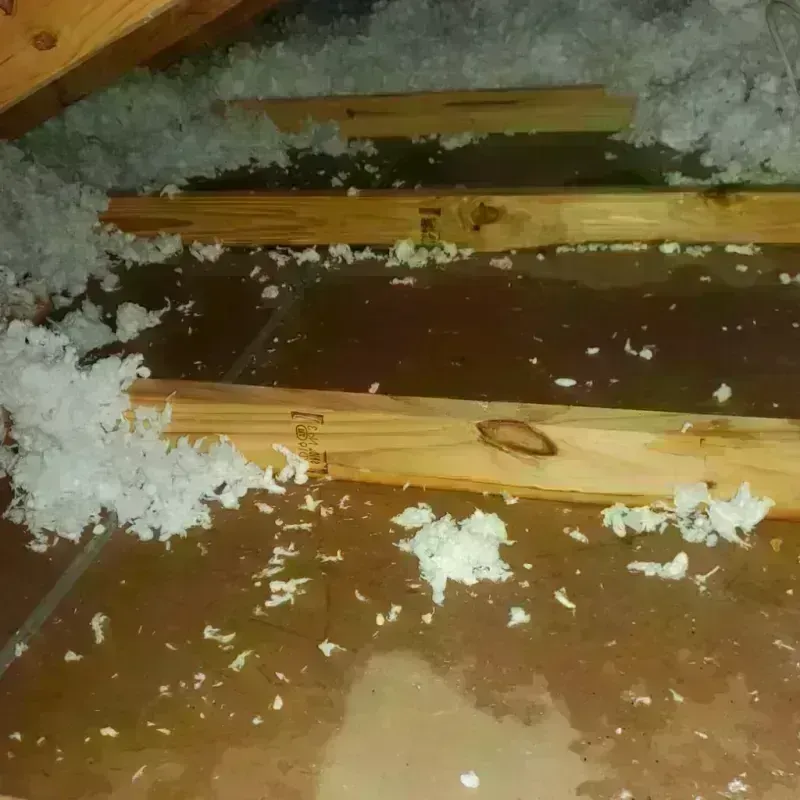 Attic Water Damage in Madison, NH