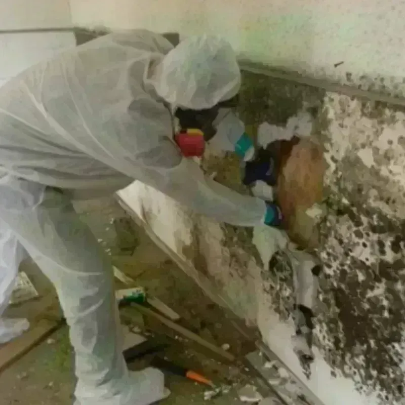 Mold Remediation and Removal in Madison, NH